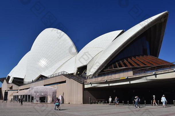 悉尼澳大利亚2月更大的生活灯笼形状猪中国人星座动物歌剧房子庆祝中国人月球