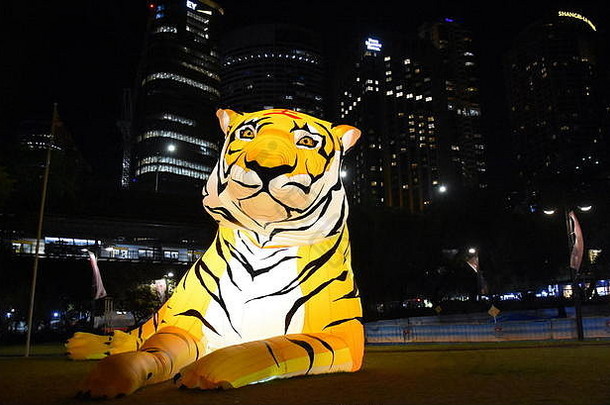 悉尼<strong>澳大利亚</strong>2月更大的生活灯笼形状老虎中国人星座动物圆形旋转庆祝中国人月