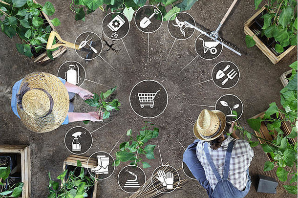 园艺设备电子商务概念在线购物图标男人。女人工作蔬菜花园的地方植物地面前