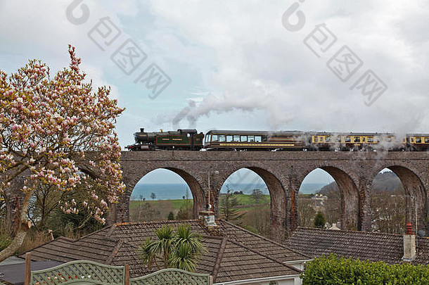 蒸汽火车布罗德桑兹高架桥
