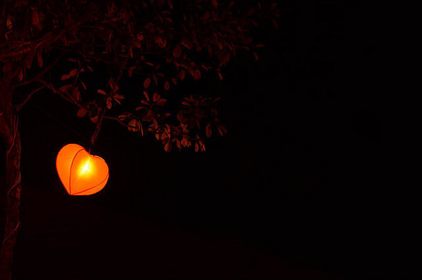 心形状兰皮恩灯笼公园树晚上时间孤立的黑色的极简主义概念