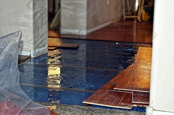 水损害地板上水删除设备