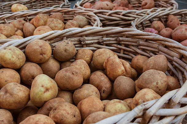 土豆坐柳条篮子出售当地的农民市场