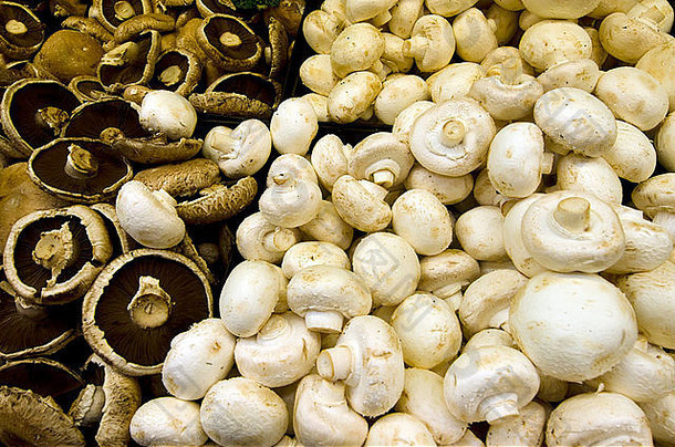 新鲜的蘑菇显示农民市场