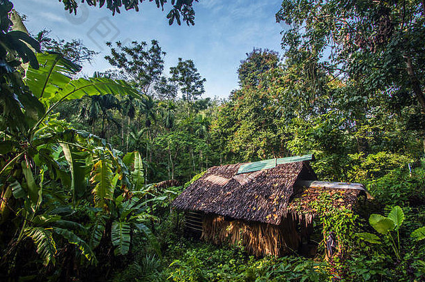 传统的小屋KOH穆克岛泰国