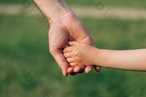 父持有手小孩子父亲的手引领孩子夏天自然户外家庭父亲一天概念