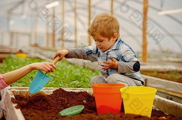 男孩男孩工作温室男孩园丁玩土壤男孩妈妈。花好护理