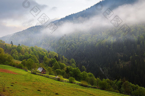 春天早....农村景观喀尔巴阡山脉的山多云的天空雾森林
