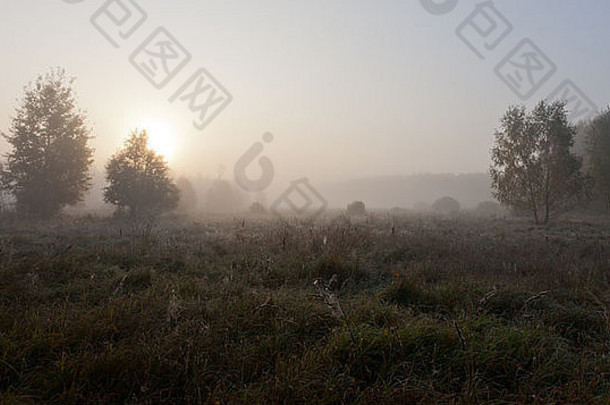 秋天的草原有雾的早....太阳草地