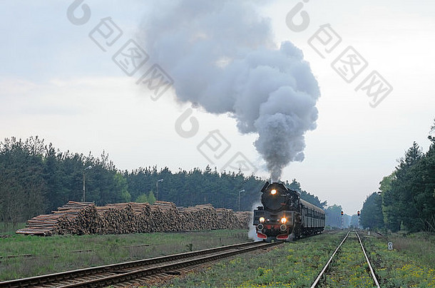 蒸汽复古的火车通过森林