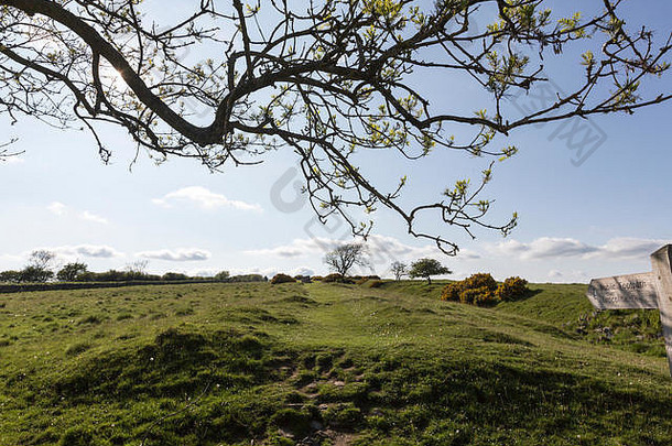 景观哈德良墙诺森伯兰郡国家公园英格兰
