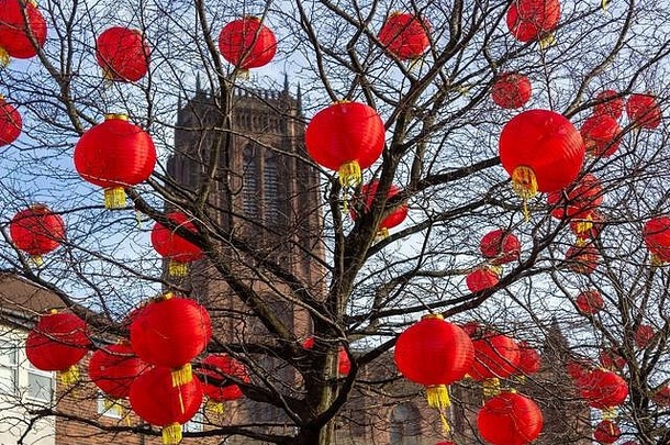 灯笼树中国人一年庆祝活动节日利物浦英国国教的大教堂背景格伦维尔街南利物浦