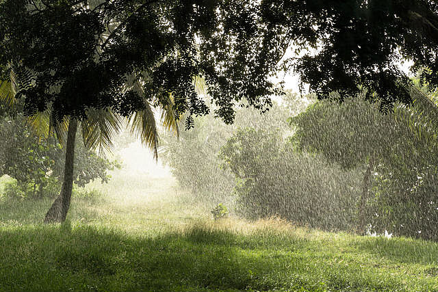 瓜德羅普島陽光與陣雨同時出現