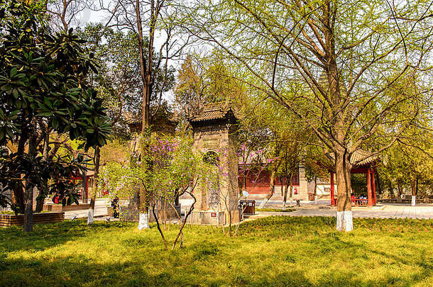 公园<strong>小</strong>野生鹅宝塔咸阳陕西中国受欢迎的旅游目的地咸阳