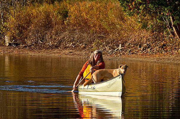 成熟的女人桨独木舟狗牛舌草湖马斯科卡安大略加拿大