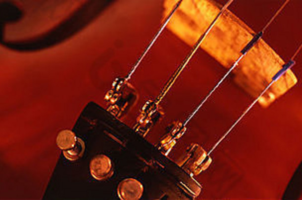 小提琴细节孔烦恼字符串音乐音乐的音乐的仪器