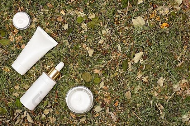 美面部化妆品产品布局自然叶子背景有机Herbal化妆品脸皮肤护理复制空间
