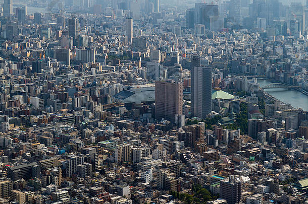 东京日本6月空中视图东京天空树塔