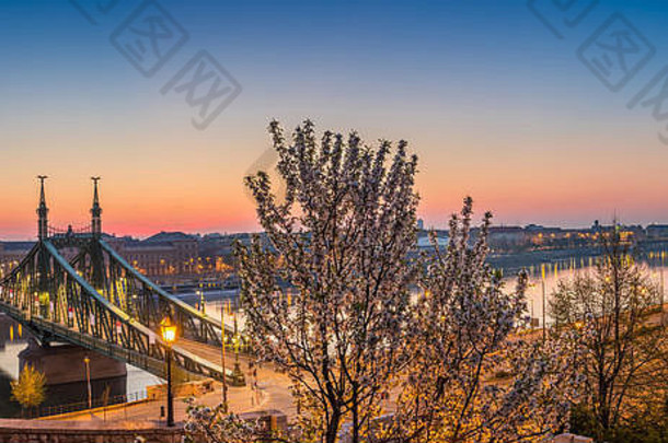 布达佩斯匈牙利全景天际线视图布达佩斯春天时间拍摄据传山樱桃开花树自由桥日出
