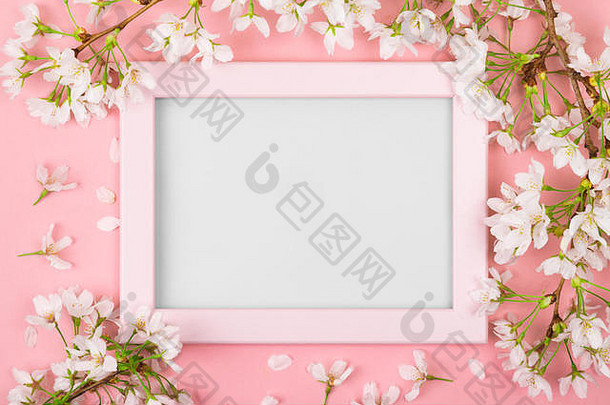 春天背景空粉红色的图片框架包围白色樱桃开花花分支机构粉红色的表面平躺