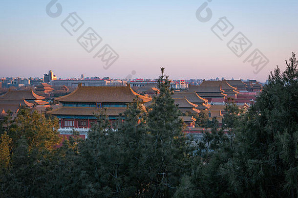 北京古老的被禁止的城市日落光对角的角度来看树前景中国