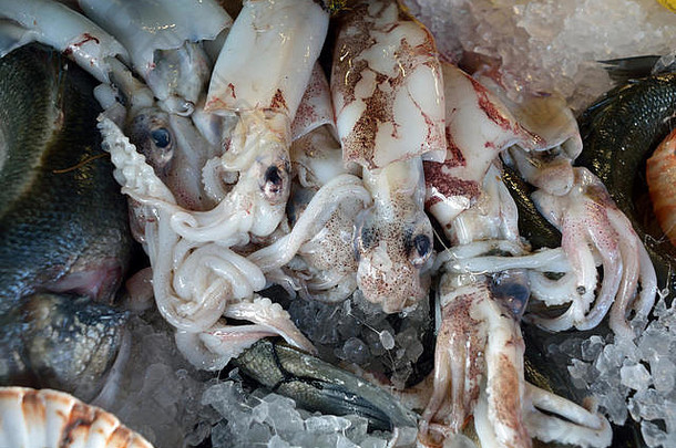 海鲜亚得里亚海海鱼市场里亚尔托桥桥威尼斯意大利