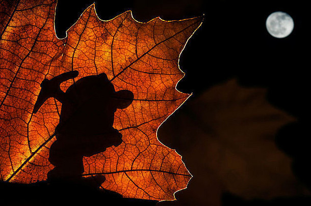 轮廓仙女演讲矮Gnome鹤嘴锄的轮廓秋天叶游行仙女森林晚上