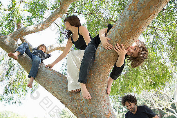 家庭男孩攀爬公园树