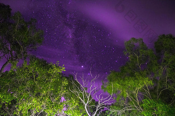 树前面布满星星的天空多云的晚上照片长曝光拍摄东澳大利亚