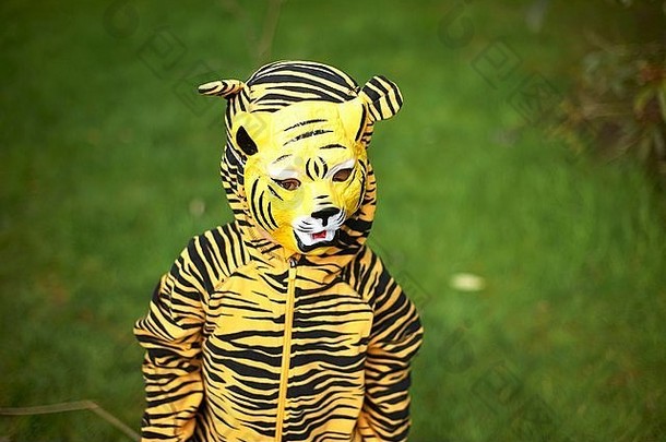 年轻的孩子穿着老虎