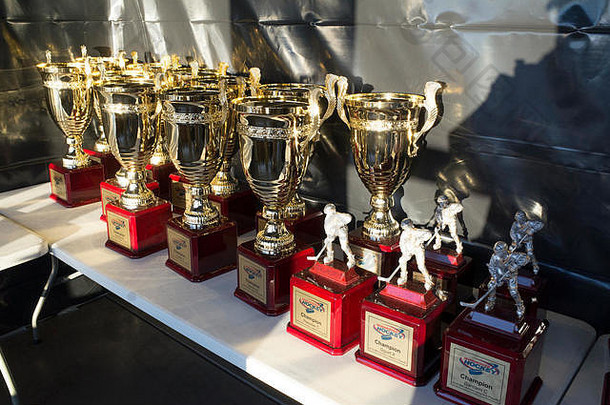 数组曲棍球比赛奖杯包括杯数字奖静明尼苏达州美国