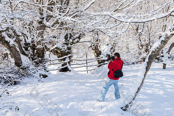 自然摄影师雪覆盖冬天花园