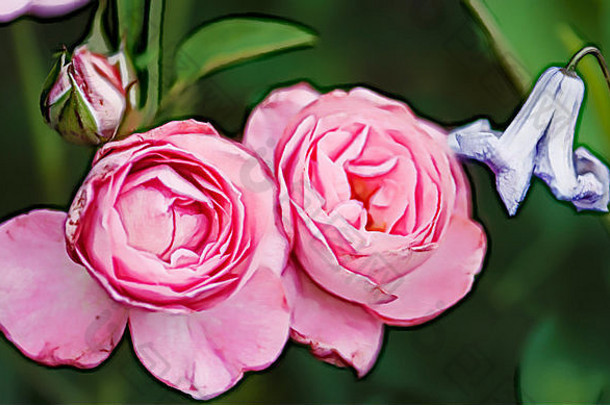 粉红色的混合动力茶玫瑰花店玫瑰疾病耐药充满活力的