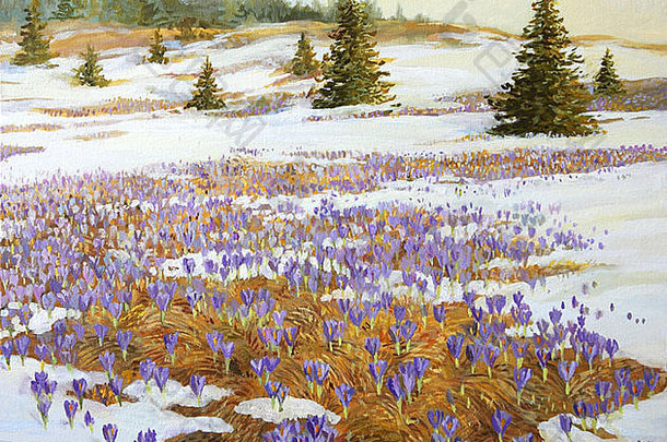 石油绘画帆布草地补丁雪盛开的紫罗兰色的番红花属花