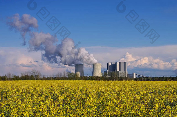 Kraftwerk用拉普斯菲尔德煤炭权力植物黄色的油菜花场