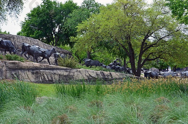 多个青铜雕像形式部分西牛开车雕塑先锋广场市中心达拉斯德州