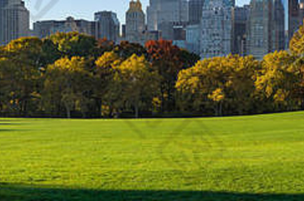 全景视图中央公园南羊草地早期早....阳光曼哈顿纽约城市