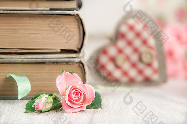 爱阅读概念背景书网纹心新鲜的玫瑰开花空间文本浅景深焦点玫瑰