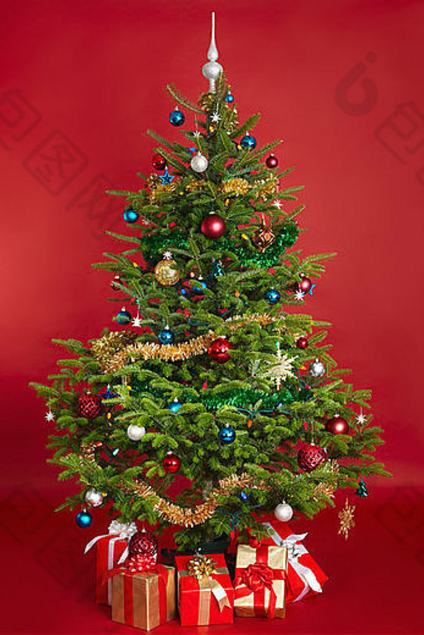 红色背景上装饰的真正的圣诞树