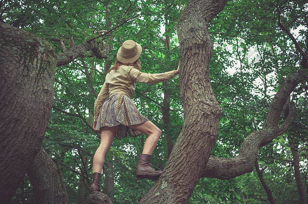 年轻的女人穿Safari他攀爬树森林