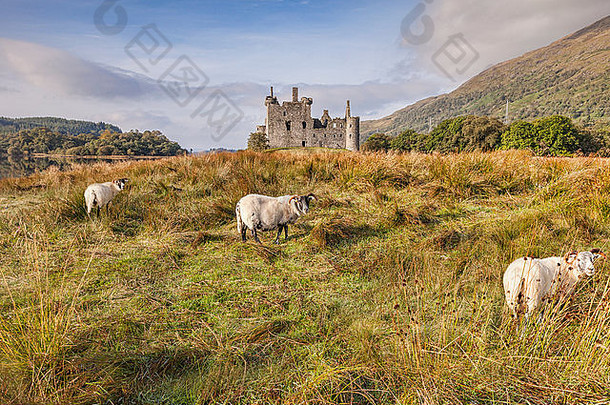 苏格兰扮演黑人公羊kilchurn城堡阿盖尔郡bute苏格兰