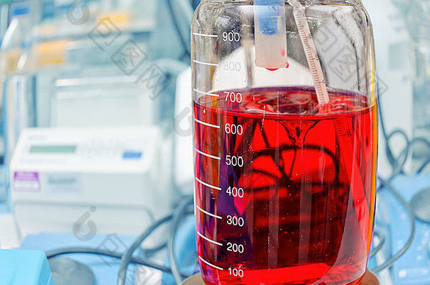 瓶红色的液体化学实验室