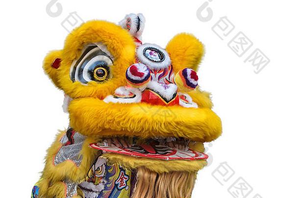 中国人狮子跳舞服装关闭孤立的白色背景