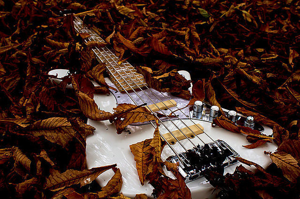 低音吉他秋天叶子