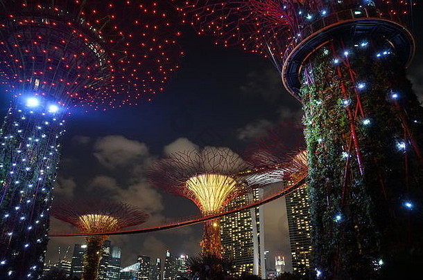 大树花园湾新加坡