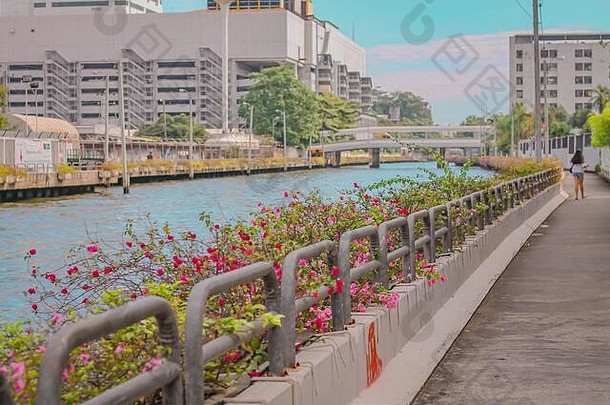 视图著名的运河运河水路曼谷城市拍摄软柔和的颜色音调显示概念夏天<strong>动漫主题</strong>