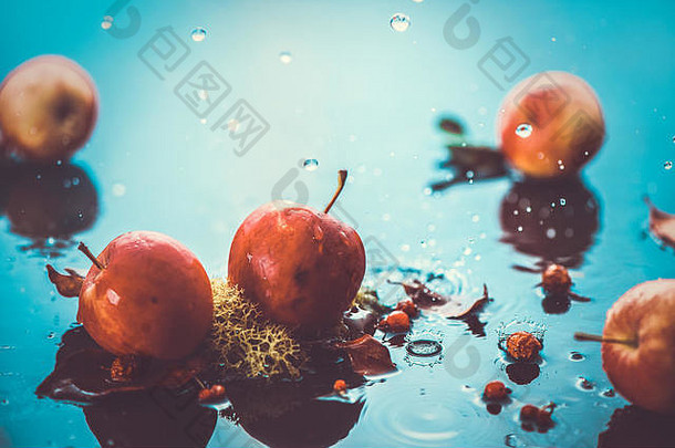 秋天苹果雨生活秋天收获头水滴复制空间红色的小ranet苹果下降叶子交叉过程效果