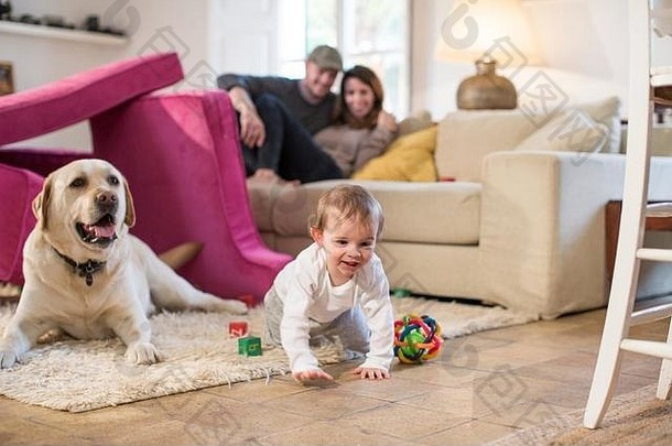 婴儿男孩宠物狗玩堡使沙发垫子