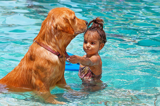 有趣的照片婴儿游泳户外池玩寻回犬小狗孩子们水体育活动