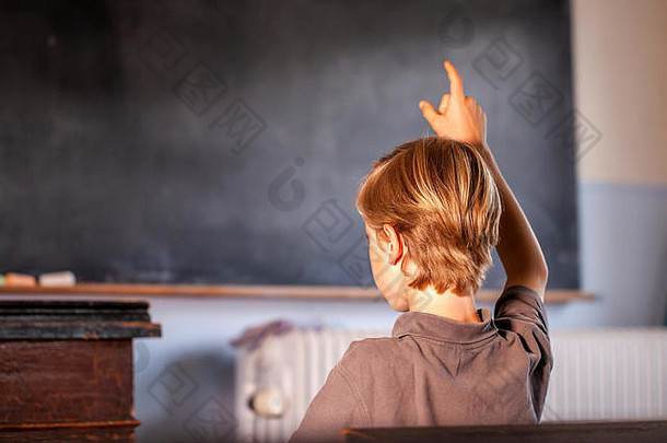 概念公共主学校教育年轻的男孩提高手教室